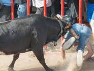 驚險一幕:男子被公牛襲擊