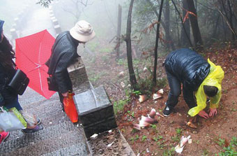 如此春遊要不得!