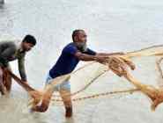 印度民众洪水中淡定捕鱼