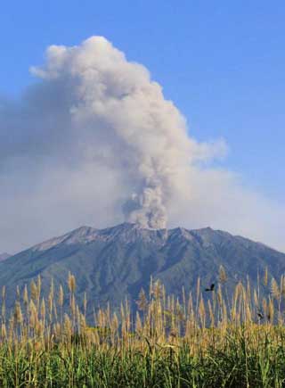 TFBOYS宠爱舞蹈版MV发布 温暖甜蜜又帅气