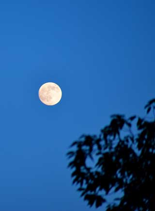 阜南：月圓之夜