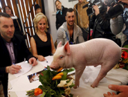 那些奇葩的選美比賽