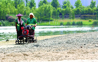 合肥塘西河公園美景不再