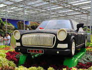 數百萬顆豆子組建&ldquo;紅旗轎車&rdquo;