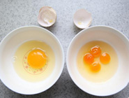 西安市民遇到&ldquo;四黃蛋&rdquo;