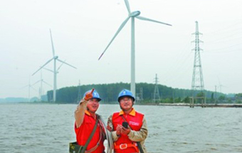 湖畔風電場 生態效能高