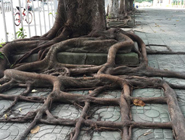 深圳驚現真實版&ldquo;黑山老妖&rdquo;