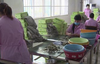 蚌埠公交公司&ldquo;新業務&rdquo;：1月兌160萬硬幣