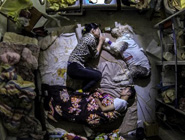 成都夫妻醫院打地鋪陪護寵物