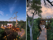 南非奢華露天樹屋別墅酒店