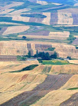 新疆昌吉：初秋田園美如畫