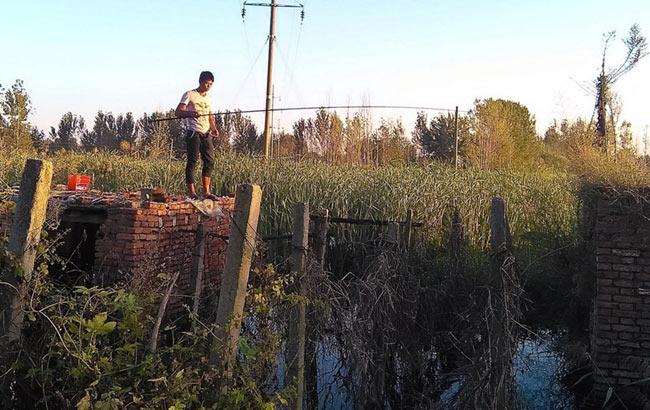 背包客芜湖下错站 长江大桥上求搭顺风车