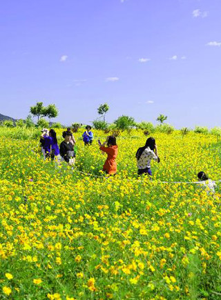 京郊秋景美如畫