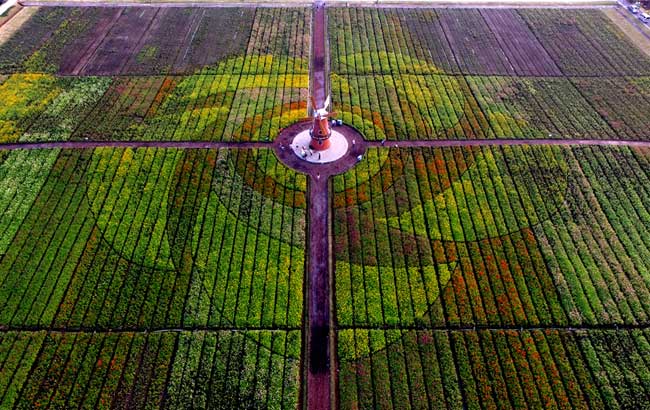 新華網安徽獨家：航拍魅力濱湖 俯瞰亮麗新城