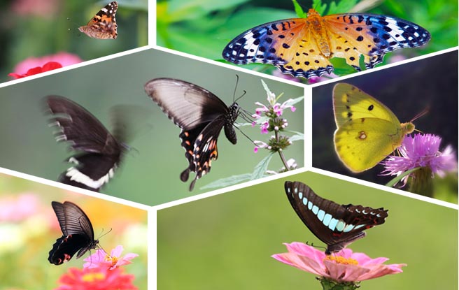 安徽省成人高考下周举行 首次增加录入指纹程