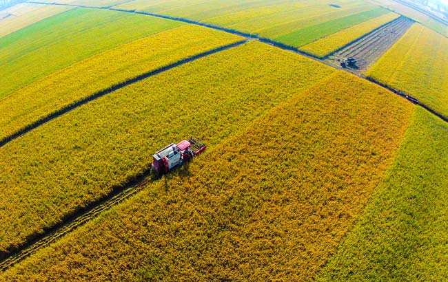 安徽淮北发布19名干部任前公示公告(名单)