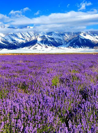 安徽民营院团"给力" 黄梅戏《一文钱》赢赞誉-新华网安徽频道