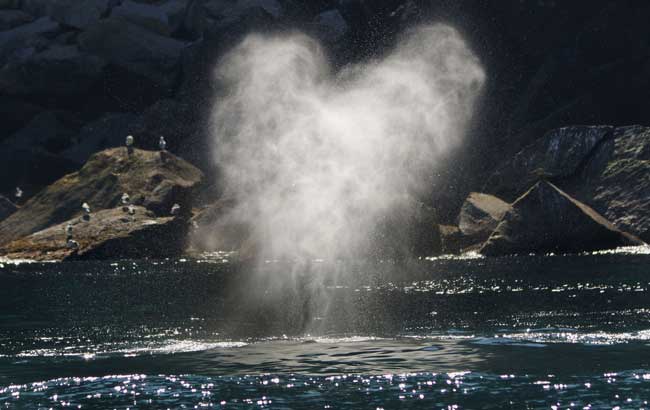 电视挂架涉嫌二次消费 每年或浪费约40亿