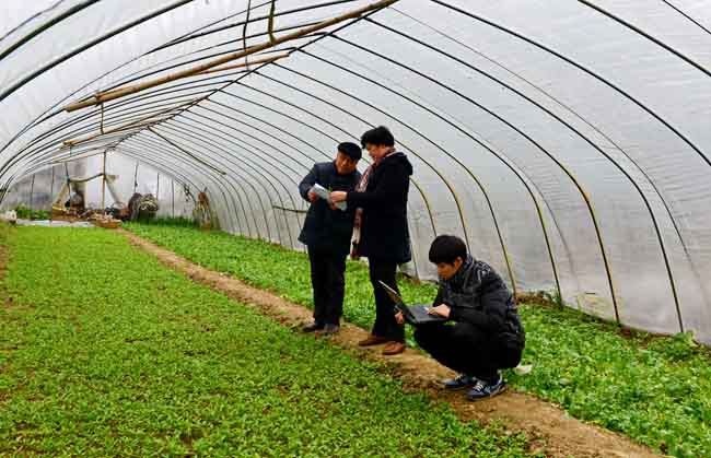 阜陽市氣象局積極做好冬季氣象服務工作