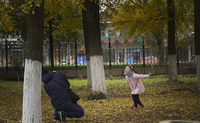 安慶：蓮湖銀杏園人氣旺