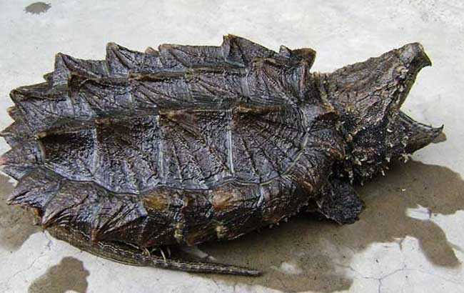 安徽应流集团建成我国最大的热等静压中心