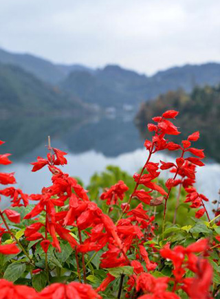 湖北：多彩農家 山水相融