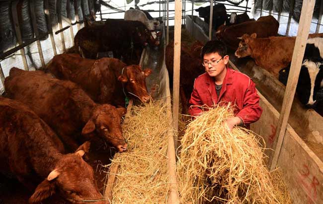 新华网安徽频道|安徽新闻|安徽要闻