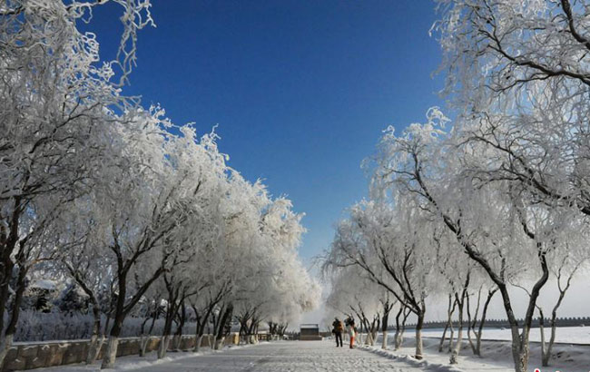 姚晨雪中自拍开心大笑网友:半张脸都是嘴