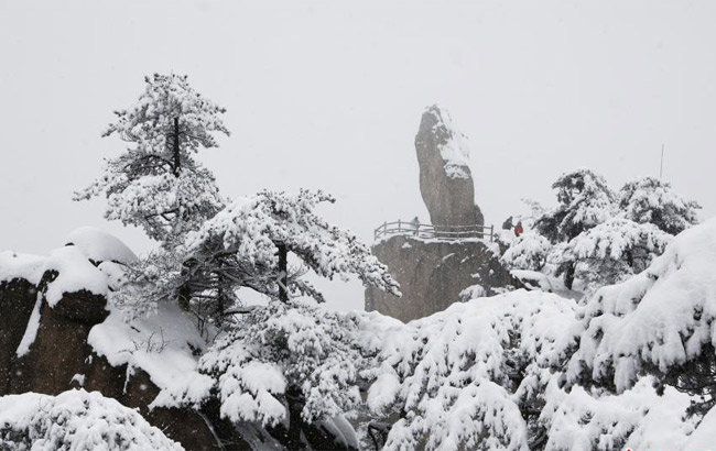 补办卡截取验证码盗刷他人信用卡 涉案金额23