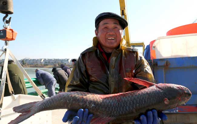刘飞跃当选安庆市人大常委会副主任