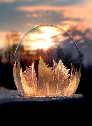  镜头中 的 冰冻肥皂泡  精致如魔法水晶球-新华网