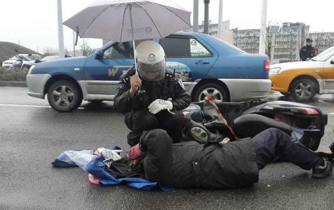 范冰冰晒宠物猫萌照 网友:李晨失宠了