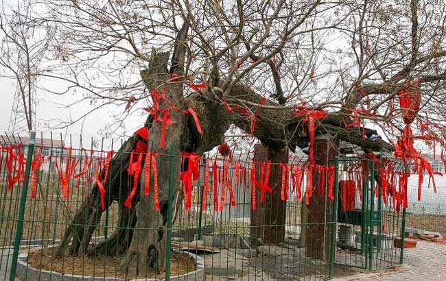 图说安徽两会:安徽未来五年将如何发展?