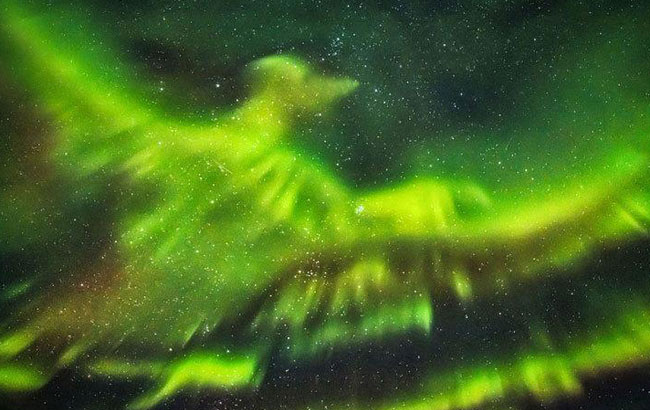 新华网安徽频道|安徽新闻|安徽要闻