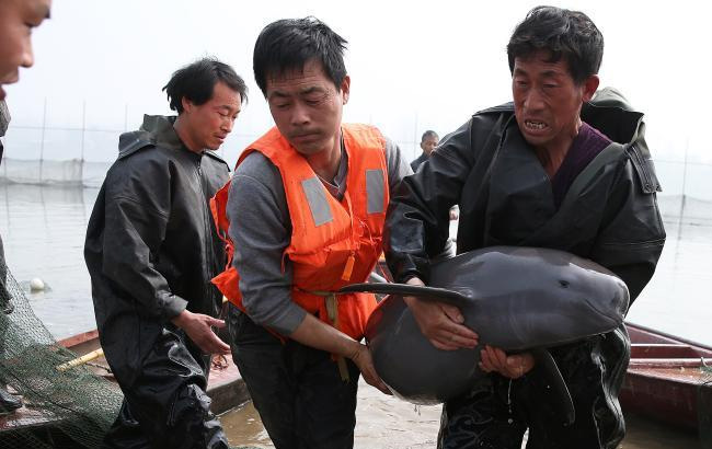 有赡养费问题?Selina竟比老公收入多60倍