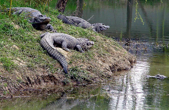 新华社记者看安徽