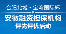 安徽融資擔保機構評先評優