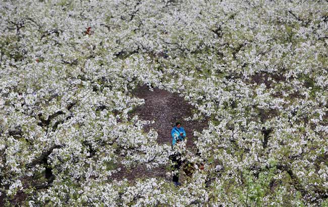 最美殡葬人申知:用温情和隐忍守望生命终点