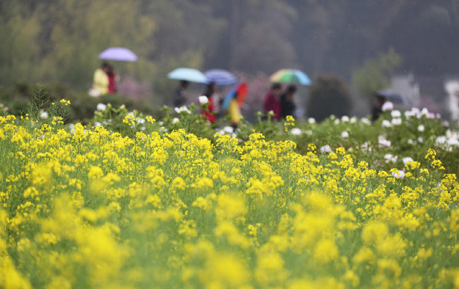 最美人間四月天 銅陵鳳凰山景區春景如畫