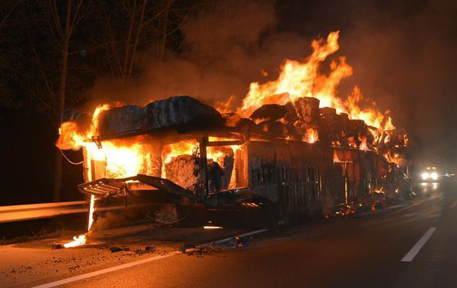 香蕉并非人人都合适 食用有哪些注意事项?