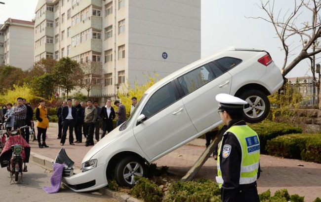 又是女司機！油門當剎車 一腳下去轎車“上樹”