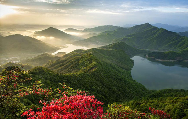 春光明媚大別山