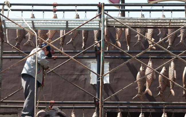 長春一飯店5萬條&ldquo;魚&rdquo;挂上墻 遭市民吐槽