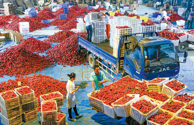 五河县人民法院执行局局长曹沛专接受组织审查