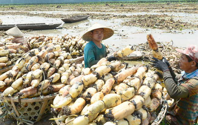 安徽将建合肥至南京沿江高铁通道 合肥到上海