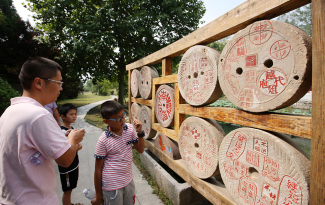 航拍:长江流域湿地保护脉络--安徽池杉湖