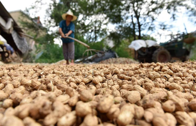 2017安徽成人高考9月1日--10日报名