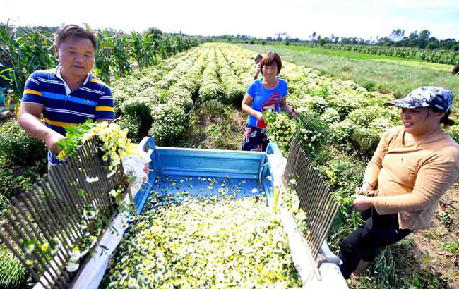 安徽出台选派帮扶干部管理办法