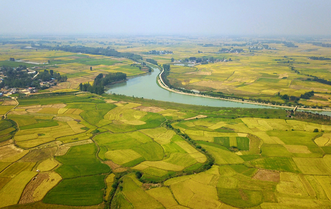 新华网安徽频道|安徽新闻|安徽要闻