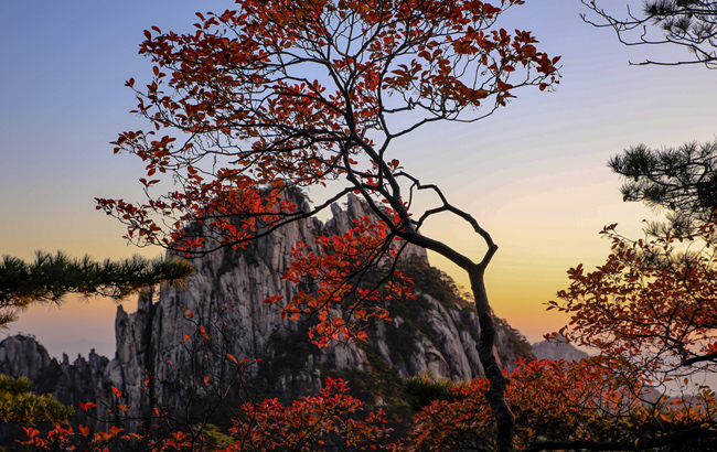 安徽推进高等教育放管服改革 进一步向高校放